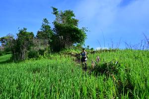 BIB: 
                            <button type="button" onclick="openModal(13316449)" class="btn btn-primary btn-sm float-right btn-popup" data-toggle="modal" data-target=".modal-high-quality">
                        <i class="fas fa-shopping-cart"></i> Add to Cart
                    </button>
                                            <button type="button" onclick="isThisMe(13316449, true)" class="btn btn-success btn-sm float-right btn-popup btn-isme hidden" data-toggle="tooltip" data-placement="bottom" title="นี่คือรูปของคุณใช่ไหม คลิกที่นี่เพื่อเอาเข้าอัลบั้ม">
                        <i class="fas fa-plus"></i> Add to album
                    </button>
                    <button type="button" onclick="isThisMe(13316449, false)" class="btn btn-warning btn-sm float-right btn-popup btn-isnotme hidden">
                        <i class="fas fa-ban"></i> Remove from album
                    </button>