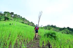 BIB: 
                            <button type="button" onclick="openModal(13302196)" class="btn btn-primary btn-sm float-right btn-popup" data-toggle="modal" data-target=".modal-high-quality">
                        <i class="fas fa-shopping-cart"></i> Add to Cart
                    </button>
                                            <button type="button" onclick="isThisMe(13302196, true)" class="btn btn-success btn-sm float-right btn-popup btn-isme hidden" data-toggle="tooltip" data-placement="bottom" title="นี่คือรูปของคุณใช่ไหม คลิกที่นี่เพื่อเอาเข้าอัลบั้ม">
                        <i class="fas fa-plus"></i> Add to album
                    </button>
                    <button type="button" onclick="isThisMe(13302196, false)" class="btn btn-warning btn-sm float-right btn-popup btn-isnotme hidden">
                        <i class="fas fa-ban"></i> Remove from album
                    </button>