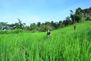 BIB: 
                            <button type="button" onclick="openModal(13255817)" class="btn btn-primary btn-sm float-right btn-popup" data-toggle="modal" data-target=".modal-high-quality">
                        <i class="fas fa-shopping-cart"></i> Add to Cart
                    </button>
                                            <button type="button" onclick="isThisMe(13255817, true)" class="btn btn-success btn-sm float-right btn-popup btn-isme hidden" data-toggle="tooltip" data-placement="bottom" title="นี่คือรูปของคุณใช่ไหม คลิกที่นี่เพื่อเอาเข้าอัลบั้ม">
                        <i class="fas fa-plus"></i> Add to album
                    </button>
                    <button type="button" onclick="isThisMe(13255817, false)" class="btn btn-warning btn-sm float-right btn-popup btn-isnotme hidden">
                        <i class="fas fa-ban"></i> Remove from album
                    </button>