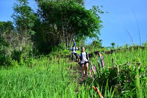 BIB: 
                            <button type="button" onclick="openModal(13316469)" class="btn btn-primary btn-sm float-right btn-popup" data-toggle="modal" data-target=".modal-high-quality">
                        <i class="fas fa-shopping-cart"></i> Add to Cart
                    </button>
                                            <button type="button" onclick="isThisMe(13316469, true)" class="btn btn-success btn-sm float-right btn-popup btn-isme hidden" data-toggle="tooltip" data-placement="bottom" title="นี่คือรูปของคุณใช่ไหม คลิกที่นี่เพื่อเอาเข้าอัลบั้ม">
                        <i class="fas fa-plus"></i> Add to album
                    </button>
                    <button type="button" onclick="isThisMe(13316469, false)" class="btn btn-warning btn-sm float-right btn-popup btn-isnotme hidden">
                        <i class="fas fa-ban"></i> Remove from album
                    </button>