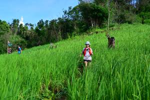 BIB: 
                            <button type="button" onclick="openModal(13255864)" class="btn btn-primary btn-sm float-right btn-popup" data-toggle="modal" data-target=".modal-high-quality">
                        <i class="fas fa-shopping-cart"></i> Add to Cart
                    </button>
                                            <button type="button" onclick="isThisMe(13255864, true)" class="btn btn-success btn-sm float-right btn-popup btn-isme hidden" data-toggle="tooltip" data-placement="bottom" title="นี่คือรูปของคุณใช่ไหม คลิกที่นี่เพื่อเอาเข้าอัลบั้ม">
                        <i class="fas fa-plus"></i> Add to album
                    </button>
                    <button type="button" onclick="isThisMe(13255864, false)" class="btn btn-warning btn-sm float-right btn-popup btn-isnotme hidden">
                        <i class="fas fa-ban"></i> Remove from album
                    </button>