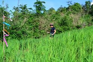 BIB: 
                            <button type="button" onclick="openModal(13316431)" class="btn btn-primary btn-sm float-right btn-popup" data-toggle="modal" data-target=".modal-high-quality">
                        <i class="fas fa-shopping-cart"></i> Add to Cart
                    </button>
                                            <button type="button" onclick="isThisMe(13316431, true)" class="btn btn-success btn-sm float-right btn-popup btn-isme hidden" data-toggle="tooltip" data-placement="bottom" title="นี่คือรูปของคุณใช่ไหม คลิกที่นี่เพื่อเอาเข้าอัลบั้ม">
                        <i class="fas fa-plus"></i> Add to album
                    </button>
                    <button type="button" onclick="isThisMe(13316431, false)" class="btn btn-warning btn-sm float-right btn-popup btn-isnotme hidden">
                        <i class="fas fa-ban"></i> Remove from album
                    </button>