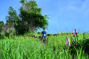 BIB: 
                            <button type="button" onclick="openModal(13316553)" class="btn btn-primary btn-sm float-right btn-popup" data-toggle="modal" data-target=".modal-high-quality">
                        <i class="fas fa-shopping-cart"></i> Add to Cart
                    </button>
                                            <button type="button" onclick="isThisMe(13316553, true)" class="btn btn-success btn-sm float-right btn-popup btn-isme hidden" data-toggle="tooltip" data-placement="bottom" title="นี่คือรูปของคุณใช่ไหม คลิกที่นี่เพื่อเอาเข้าอัลบั้ม">
                        <i class="fas fa-plus"></i> Add to album
                    </button>
                    <button type="button" onclick="isThisMe(13316553, false)" class="btn btn-warning btn-sm float-right btn-popup btn-isnotme hidden">
                        <i class="fas fa-ban"></i> Remove from album
                    </button>