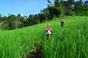 BIB: 
                            <button type="button" onclick="openModal(13255834)" class="btn btn-primary btn-sm float-right btn-popup" data-toggle="modal" data-target=".modal-high-quality">
                        <i class="fas fa-shopping-cart"></i> Add to Cart
                    </button>
                                            <button type="button" onclick="isThisMe(13255834, true)" class="btn btn-success btn-sm float-right btn-popup btn-isme hidden" data-toggle="tooltip" data-placement="bottom" title="นี่คือรูปของคุณใช่ไหม คลิกที่นี่เพื่อเอาเข้าอัลบั้ม">
                        <i class="fas fa-plus"></i> Add to album
                    </button>
                    <button type="button" onclick="isThisMe(13255834, false)" class="btn btn-warning btn-sm float-right btn-popup btn-isnotme hidden">
                        <i class="fas fa-ban"></i> Remove from album
                    </button>