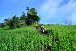 BIB: 
                            <button type="button" onclick="openModal(13316454)" class="btn btn-primary btn-sm float-right btn-popup" data-toggle="modal" data-target=".modal-high-quality">
                        <i class="fas fa-shopping-cart"></i> Add to Cart
                    </button>
                                            <button type="button" onclick="isThisMe(13316454, true)" class="btn btn-success btn-sm float-right btn-popup btn-isme hidden" data-toggle="tooltip" data-placement="bottom" title="นี่คือรูปของคุณใช่ไหม คลิกที่นี่เพื่อเอาเข้าอัลบั้ม">
                        <i class="fas fa-plus"></i> Add to album
                    </button>
                    <button type="button" onclick="isThisMe(13316454, false)" class="btn btn-warning btn-sm float-right btn-popup btn-isnotme hidden">
                        <i class="fas fa-ban"></i> Remove from album
                    </button>