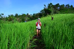 BIB: 
                            <button type="button" onclick="openModal(13304468)" class="btn btn-primary btn-sm float-right btn-popup" data-toggle="modal" data-target=".modal-high-quality">
                        <i class="fas fa-shopping-cart"></i> Add to Cart
                    </button>
                                            <button type="button" onclick="isThisMe(13304468, true)" class="btn btn-success btn-sm float-right btn-popup btn-isme hidden" data-toggle="tooltip" data-placement="bottom" title="นี่คือรูปของคุณใช่ไหม คลิกที่นี่เพื่อเอาเข้าอัลบั้ม">
                        <i class="fas fa-plus"></i> Add to album
                    </button>
                    <button type="button" onclick="isThisMe(13304468, false)" class="btn btn-warning btn-sm float-right btn-popup btn-isnotme hidden">
                        <i class="fas fa-ban"></i> Remove from album
                    </button>