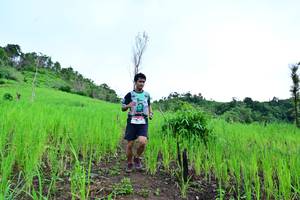 BIB: 
                            <button type="button" onclick="openModal(13302014)" class="btn btn-primary btn-sm float-right btn-popup" data-toggle="modal" data-target=".modal-high-quality">
                        <i class="fas fa-shopping-cart"></i> Add to Cart
                    </button>
                                            <button type="button" onclick="isThisMe(13302014, true)" class="btn btn-success btn-sm float-right btn-popup btn-isme hidden" data-toggle="tooltip" data-placement="bottom" title="นี่คือรูปของคุณใช่ไหม คลิกที่นี่เพื่อเอาเข้าอัลบั้ม">
                        <i class="fas fa-plus"></i> Add to album
                    </button>
                    <button type="button" onclick="isThisMe(13302014, false)" class="btn btn-warning btn-sm float-right btn-popup btn-isnotme hidden">
                        <i class="fas fa-ban"></i> Remove from album
                    </button>