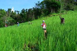 BIB: 
                            <button type="button" onclick="openModal(13255914)" class="btn btn-primary btn-sm float-right btn-popup" data-toggle="modal" data-target=".modal-high-quality">
                        <i class="fas fa-shopping-cart"></i> Add to Cart
                    </button>
                                            <button type="button" onclick="isThisMe(13255914, true)" class="btn btn-success btn-sm float-right btn-popup btn-isme hidden" data-toggle="tooltip" data-placement="bottom" title="นี่คือรูปของคุณใช่ไหม คลิกที่นี่เพื่อเอาเข้าอัลบั้ม">
                        <i class="fas fa-plus"></i> Add to album
                    </button>
                    <button type="button" onclick="isThisMe(13255914, false)" class="btn btn-warning btn-sm float-right btn-popup btn-isnotme hidden">
                        <i class="fas fa-ban"></i> Remove from album
                    </button>