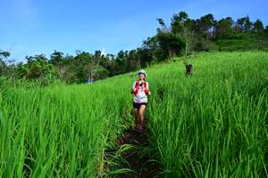 BIB: 
                            <button type="button" onclick="openModal(13256541)" class="btn btn-primary btn-sm float-right btn-popup" data-toggle="modal" data-target=".modal-high-quality">
                        <i class="fas fa-shopping-cart"></i> Add to Cart
                    </button>
                                            <button type="button" onclick="isThisMe(13256541, true)" class="btn btn-success btn-sm float-right btn-popup btn-isme hidden" data-toggle="tooltip" data-placement="bottom" title="นี่คือรูปของคุณใช่ไหม คลิกที่นี่เพื่อเอาเข้าอัลบั้ม">
                        <i class="fas fa-plus"></i> Add to album
                    </button>
                    <button type="button" onclick="isThisMe(13256541, false)" class="btn btn-warning btn-sm float-right btn-popup btn-isnotme hidden">
                        <i class="fas fa-ban"></i> Remove from album
                    </button>