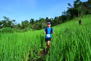 BIB: 
                            <button type="button" onclick="openModal(13304691)" class="btn btn-primary btn-sm float-right btn-popup" data-toggle="modal" data-target=".modal-high-quality">
                        <i class="fas fa-shopping-cart"></i> Add to Cart
                    </button>
                                            <button type="button" onclick="isThisMe(13304691, true)" class="btn btn-success btn-sm float-right btn-popup btn-isme hidden" data-toggle="tooltip" data-placement="bottom" title="นี่คือรูปของคุณใช่ไหม คลิกที่นี่เพื่อเอาเข้าอัลบั้ม">
                        <i class="fas fa-plus"></i> Add to album
                    </button>
                    <button type="button" onclick="isThisMe(13304691, false)" class="btn btn-warning btn-sm float-right btn-popup btn-isnotme hidden">
                        <i class="fas fa-ban"></i> Remove from album
                    </button>