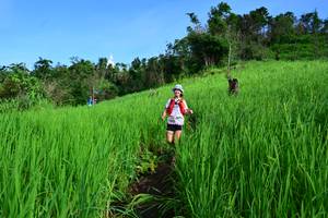 BIB: 
                            <button type="button" onclick="openModal(13256496)" class="btn btn-primary btn-sm float-right btn-popup" data-toggle="modal" data-target=".modal-high-quality">
                        <i class="fas fa-shopping-cart"></i> Add to Cart
                    </button>
                                            <button type="button" onclick="isThisMe(13256496, true)" class="btn btn-success btn-sm float-right btn-popup btn-isme hidden" data-toggle="tooltip" data-placement="bottom" title="นี่คือรูปของคุณใช่ไหม คลิกที่นี่เพื่อเอาเข้าอัลบั้ม">
                        <i class="fas fa-plus"></i> Add to album
                    </button>
                    <button type="button" onclick="isThisMe(13256496, false)" class="btn btn-warning btn-sm float-right btn-popup btn-isnotme hidden">
                        <i class="fas fa-ban"></i> Remove from album
                    </button>