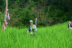 BIB: 
                            <button type="button" onclick="openModal(13303052)" class="btn btn-primary btn-sm float-right btn-popup" data-toggle="modal" data-target=".modal-high-quality">
                        <i class="fas fa-shopping-cart"></i> Add to Cart
                    </button>
                                            <button type="button" onclick="isThisMe(13303052, true)" class="btn btn-success btn-sm float-right btn-popup btn-isme hidden" data-toggle="tooltip" data-placement="bottom" title="นี่คือรูปของคุณใช่ไหม คลิกที่นี่เพื่อเอาเข้าอัลบั้ม">
                        <i class="fas fa-plus"></i> Add to album
                    </button>
                    <button type="button" onclick="isThisMe(13303052, false)" class="btn btn-warning btn-sm float-right btn-popup btn-isnotme hidden">
                        <i class="fas fa-ban"></i> Remove from album
                    </button>