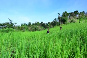 BIB: 
                            <button type="button" onclick="openModal(13303359)" class="btn btn-primary btn-sm float-right btn-popup" data-toggle="modal" data-target=".modal-high-quality">
                        <i class="fas fa-shopping-cart"></i> Add to Cart
                    </button>
                                            <button type="button" onclick="isThisMe(13303359, true)" class="btn btn-success btn-sm float-right btn-popup btn-isme hidden" data-toggle="tooltip" data-placement="bottom" title="นี่คือรูปของคุณใช่ไหม คลิกที่นี่เพื่อเอาเข้าอัลบั้ม">
                        <i class="fas fa-plus"></i> Add to album
                    </button>
                    <button type="button" onclick="isThisMe(13303359, false)" class="btn btn-warning btn-sm float-right btn-popup btn-isnotme hidden">
                        <i class="fas fa-ban"></i> Remove from album
                    </button>