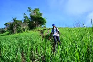 BIB: 
                            <button type="button" onclick="openModal(13316519)" class="btn btn-primary btn-sm float-right btn-popup" data-toggle="modal" data-target=".modal-high-quality">
                        <i class="fas fa-shopping-cart"></i> Add to Cart
                    </button>
                                            <button type="button" onclick="isThisMe(13316519, true)" class="btn btn-success btn-sm float-right btn-popup btn-isme hidden" data-toggle="tooltip" data-placement="bottom" title="นี่คือรูปของคุณใช่ไหม คลิกที่นี่เพื่อเอาเข้าอัลบั้ม">
                        <i class="fas fa-plus"></i> Add to album
                    </button>
                    <button type="button" onclick="isThisMe(13316519, false)" class="btn btn-warning btn-sm float-right btn-popup btn-isnotme hidden">
                        <i class="fas fa-ban"></i> Remove from album
                    </button>