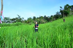 BIB: 
                            <button type="button" onclick="openModal(13255839)" class="btn btn-primary btn-sm float-right btn-popup" data-toggle="modal" data-target=".modal-high-quality">
                        <i class="fas fa-shopping-cart"></i> Add to Cart
                    </button>
                                            <button type="button" onclick="isThisMe(13255839, true)" class="btn btn-success btn-sm float-right btn-popup btn-isme hidden" data-toggle="tooltip" data-placement="bottom" title="นี่คือรูปของคุณใช่ไหม คลิกที่นี่เพื่อเอาเข้าอัลบั้ม">
                        <i class="fas fa-plus"></i> Add to album
                    </button>
                    <button type="button" onclick="isThisMe(13255839, false)" class="btn btn-warning btn-sm float-right btn-popup btn-isnotme hidden">
                        <i class="fas fa-ban"></i> Remove from album
                    </button>