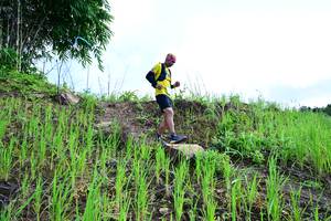 BIB: 
                            <button type="button" onclick="openModal(13317046)" class="btn btn-primary btn-sm float-right btn-popup" data-toggle="modal" data-target=".modal-high-quality">
                        <i class="fas fa-shopping-cart"></i> Add to Cart
                    </button>
                                            <button type="button" onclick="isThisMe(13317046, true)" class="btn btn-success btn-sm float-right btn-popup btn-isme hidden" data-toggle="tooltip" data-placement="bottom" title="นี่คือรูปของคุณใช่ไหม คลิกที่นี่เพื่อเอาเข้าอัลบั้ม">
                        <i class="fas fa-plus"></i> Add to album
                    </button>
                    <button type="button" onclick="isThisMe(13317046, false)" class="btn btn-warning btn-sm float-right btn-popup btn-isnotme hidden">
                        <i class="fas fa-ban"></i> Remove from album
                    </button>