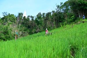 BIB: 
                            <button type="button" onclick="openModal(13255758)" class="btn btn-primary btn-sm float-right btn-popup" data-toggle="modal" data-target=".modal-high-quality">
                        <i class="fas fa-shopping-cart"></i> Add to Cart
                    </button>
                                            <button type="button" onclick="isThisMe(13255758, true)" class="btn btn-success btn-sm float-right btn-popup btn-isme hidden" data-toggle="tooltip" data-placement="bottom" title="นี่คือรูปของคุณใช่ไหม คลิกที่นี่เพื่อเอาเข้าอัลบั้ม">
                        <i class="fas fa-plus"></i> Add to album
                    </button>
                    <button type="button" onclick="isThisMe(13255758, false)" class="btn btn-warning btn-sm float-right btn-popup btn-isnotme hidden">
                        <i class="fas fa-ban"></i> Remove from album
                    </button>