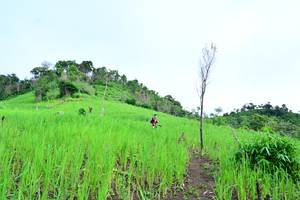 BIB: 
                            <button type="button" onclick="openModal(13302166)" class="btn btn-primary btn-sm float-right btn-popup" data-toggle="modal" data-target=".modal-high-quality">
                        <i class="fas fa-shopping-cart"></i> Add to Cart
                    </button>
                                            <button type="button" onclick="isThisMe(13302166, true)" class="btn btn-success btn-sm float-right btn-popup btn-isme hidden" data-toggle="tooltip" data-placement="bottom" title="นี่คือรูปของคุณใช่ไหม คลิกที่นี่เพื่อเอาเข้าอัลบั้ม">
                        <i class="fas fa-plus"></i> Add to album
                    </button>
                    <button type="button" onclick="isThisMe(13302166, false)" class="btn btn-warning btn-sm float-right btn-popup btn-isnotme hidden">
                        <i class="fas fa-ban"></i> Remove from album
                    </button>