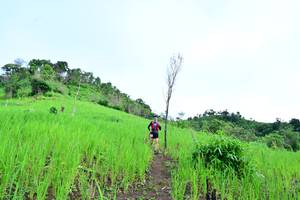 BIB: 
                            <button type="button" onclick="openModal(13302172)" class="btn btn-primary btn-sm float-right btn-popup" data-toggle="modal" data-target=".modal-high-quality">
                        <i class="fas fa-shopping-cart"></i> Add to Cart
                    </button>
                                            <button type="button" onclick="isThisMe(13302172, true)" class="btn btn-success btn-sm float-right btn-popup btn-isme hidden" data-toggle="tooltip" data-placement="bottom" title="นี่คือรูปของคุณใช่ไหม คลิกที่นี่เพื่อเอาเข้าอัลบั้ม">
                        <i class="fas fa-plus"></i> Add to album
                    </button>
                    <button type="button" onclick="isThisMe(13302172, false)" class="btn btn-warning btn-sm float-right btn-popup btn-isnotme hidden">
                        <i class="fas fa-ban"></i> Remove from album
                    </button>