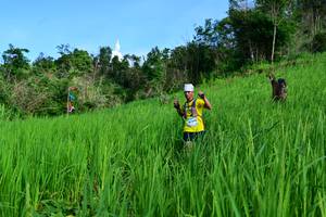 BIB: 
                            <button type="button" onclick="openModal(13306226)" class="btn btn-primary btn-sm float-right btn-popup" data-toggle="modal" data-target=".modal-high-quality">
                        <i class="fas fa-shopping-cart"></i> Add to Cart
                    </button>
                                            <button type="button" onclick="isThisMe(13306226, true)" class="btn btn-success btn-sm float-right btn-popup btn-isme hidden" data-toggle="tooltip" data-placement="bottom" title="นี่คือรูปของคุณใช่ไหม คลิกที่นี่เพื่อเอาเข้าอัลบั้ม">
                        <i class="fas fa-plus"></i> Add to album
                    </button>
                    <button type="button" onclick="isThisMe(13306226, false)" class="btn btn-warning btn-sm float-right btn-popup btn-isnotme hidden">
                        <i class="fas fa-ban"></i> Remove from album
                    </button>