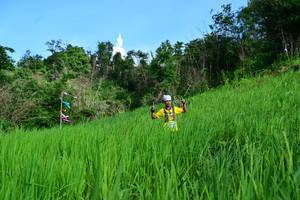 BIB: 
                            <button type="button" onclick="openModal(13306223)" class="btn btn-primary btn-sm float-right btn-popup" data-toggle="modal" data-target=".modal-high-quality">
                        <i class="fas fa-shopping-cart"></i> Add to Cart
                    </button>
                                            <button type="button" onclick="isThisMe(13306223, true)" class="btn btn-success btn-sm float-right btn-popup btn-isme hidden" data-toggle="tooltip" data-placement="bottom" title="นี่คือรูปของคุณใช่ไหม คลิกที่นี่เพื่อเอาเข้าอัลบั้ม">
                        <i class="fas fa-plus"></i> Add to album
                    </button>
                    <button type="button" onclick="isThisMe(13306223, false)" class="btn btn-warning btn-sm float-right btn-popup btn-isnotme hidden">
                        <i class="fas fa-ban"></i> Remove from album
                    </button>