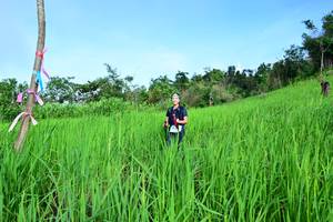 BIB: 
                            <button type="button" onclick="openModal(13255918)" class="btn btn-primary btn-sm float-right btn-popup" data-toggle="modal" data-target=".modal-high-quality">
                        <i class="fas fa-shopping-cart"></i> Add to Cart
                    </button>
                                            <button type="button" onclick="isThisMe(13255918, true)" class="btn btn-success btn-sm float-right btn-popup btn-isme hidden" data-toggle="tooltip" data-placement="bottom" title="นี่คือรูปของคุณใช่ไหม คลิกที่นี่เพื่อเอาเข้าอัลบั้ม">
                        <i class="fas fa-plus"></i> Add to album
                    </button>
                    <button type="button" onclick="isThisMe(13255918, false)" class="btn btn-warning btn-sm float-right btn-popup btn-isnotme hidden">
                        <i class="fas fa-ban"></i> Remove from album
                    </button>