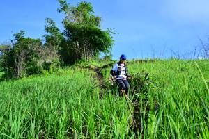 BIB: 
                            <button type="button" onclick="openModal(13316520)" class="btn btn-primary btn-sm float-right btn-popup" data-toggle="modal" data-target=".modal-high-quality">
                        <i class="fas fa-shopping-cart"></i> Add to Cart
                    </button>
                                            <button type="button" onclick="isThisMe(13316520, true)" class="btn btn-success btn-sm float-right btn-popup btn-isme hidden" data-toggle="tooltip" data-placement="bottom" title="นี่คือรูปของคุณใช่ไหม คลิกที่นี่เพื่อเอาเข้าอัลบั้ม">
                        <i class="fas fa-plus"></i> Add to album
                    </button>
                    <button type="button" onclick="isThisMe(13316520, false)" class="btn btn-warning btn-sm float-right btn-popup btn-isnotme hidden">
                        <i class="fas fa-ban"></i> Remove from album
                    </button>