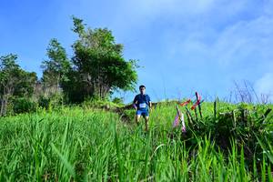 BIB: 
                            <button type="button" onclick="openModal(13316554)" class="btn btn-primary btn-sm float-right btn-popup" data-toggle="modal" data-target=".modal-high-quality">
                        <i class="fas fa-shopping-cart"></i> Add to Cart
                    </button>
                                            <button type="button" onclick="isThisMe(13316554, true)" class="btn btn-success btn-sm float-right btn-popup btn-isme hidden" data-toggle="tooltip" data-placement="bottom" title="นี่คือรูปของคุณใช่ไหม คลิกที่นี่เพื่อเอาเข้าอัลบั้ม">
                        <i class="fas fa-plus"></i> Add to album
                    </button>
                    <button type="button" onclick="isThisMe(13316554, false)" class="btn btn-warning btn-sm float-right btn-popup btn-isnotme hidden">
                        <i class="fas fa-ban"></i> Remove from album
                    </button>