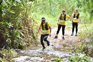 BIB: 
                            <button type="button" onclick="openModal(13295349)" class="btn btn-primary btn-sm float-right btn-popup" data-toggle="modal" data-target=".modal-high-quality">
                        <i class="fas fa-shopping-cart"></i> Add to Cart
                    </button>
                                            <button type="button" onclick="isThisMe(13295349, true)" class="btn btn-success btn-sm float-right btn-popup btn-isme hidden" data-toggle="tooltip" data-placement="bottom" title="นี่คือรูปของคุณใช่ไหม คลิกที่นี่เพื่อเอาเข้าอัลบั้ม">
                        <i class="fas fa-plus"></i> Add to album
                    </button>
                    <button type="button" onclick="isThisMe(13295349, false)" class="btn btn-warning btn-sm float-right btn-popup btn-isnotme hidden">
                        <i class="fas fa-ban"></i> Remove from album
                    </button>