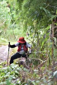 BIB: 
                            <button type="button" onclick="openModal(13295210)" class="btn btn-primary btn-sm float-right btn-popup" data-toggle="modal" data-target=".modal-high-quality">
                        <i class="fas fa-shopping-cart"></i> Add to Cart
                    </button>
                                            <button type="button" onclick="isThisMe(13295210, true)" class="btn btn-success btn-sm float-right btn-popup btn-isme hidden" data-toggle="tooltip" data-placement="bottom" title="นี่คือรูปของคุณใช่ไหม คลิกที่นี่เพื่อเอาเข้าอัลบั้ม">
                        <i class="fas fa-plus"></i> Add to album
                    </button>
                    <button type="button" onclick="isThisMe(13295210, false)" class="btn btn-warning btn-sm float-right btn-popup btn-isnotme hidden">
                        <i class="fas fa-ban"></i> Remove from album
                    </button>