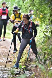 BIB: 
                            <button type="button" onclick="openModal(13290376)" class="btn btn-primary btn-sm float-right btn-popup" data-toggle="modal" data-target=".modal-high-quality">
                        <i class="fas fa-shopping-cart"></i> Add to Cart
                    </button>
                                            <button type="button" onclick="isThisMe(13290376, true)" class="btn btn-success btn-sm float-right btn-popup btn-isme hidden" data-toggle="tooltip" data-placement="bottom" title="นี่คือรูปของคุณใช่ไหม คลิกที่นี่เพื่อเอาเข้าอัลบั้ม">
                        <i class="fas fa-plus"></i> Add to album
                    </button>
                    <button type="button" onclick="isThisMe(13290376, false)" class="btn btn-warning btn-sm float-right btn-popup btn-isnotme hidden">
                        <i class="fas fa-ban"></i> Remove from album
                    </button>