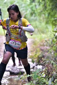 BIB: 2160
                            <button type="button" onclick="openModal(13289996)" class="btn btn-primary btn-sm float-right btn-popup" data-toggle="modal" data-target=".modal-high-quality">
                        <i class="fas fa-shopping-cart"></i> Add to Cart
                    </button>
                                            <button type="button" onclick="isThisMe(13289996, true)" class="btn btn-success btn-sm float-right btn-popup btn-isme hidden" data-toggle="tooltip" data-placement="bottom" title="นี่คือรูปของคุณใช่ไหม คลิกที่นี่เพื่อเอาเข้าอัลบั้ม">
                        <i class="fas fa-plus"></i> Add to album
                    </button>
                    <button type="button" onclick="isThisMe(13289996, false)" class="btn btn-warning btn-sm float-right btn-popup btn-isnotme hidden">
                        <i class="fas fa-ban"></i> Remove from album
                    </button>