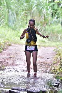 BIB: 2177, 
                            <button type="button" onclick="openModal(13290289)" class="btn btn-primary btn-sm float-right btn-popup" data-toggle="modal" data-target=".modal-high-quality">
                        <i class="fas fa-shopping-cart"></i> Add to Cart
                    </button>
                                            <button type="button" onclick="isThisMe(13290289, true)" class="btn btn-success btn-sm float-right btn-popup btn-isme hidden" data-toggle="tooltip" data-placement="bottom" title="นี่คือรูปของคุณใช่ไหม คลิกที่นี่เพื่อเอาเข้าอัลบั้ม">
                        <i class="fas fa-plus"></i> Add to album
                    </button>
                    <button type="button" onclick="isThisMe(13290289, false)" class="btn btn-warning btn-sm float-right btn-popup btn-isnotme hidden">
                        <i class="fas fa-ban"></i> Remove from album
                    </button>