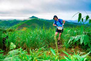 BIB: 4111, 
                            <button type="button" onclick="openModal(13220355)" class="btn btn-primary btn-sm float-right btn-popup" data-toggle="modal" data-target=".modal-high-quality">
                        <i class="fas fa-shopping-cart"></i> Add to Cart
                    </button>
                                            <button type="button" onclick="isThisMe(13220355, true)" class="btn btn-success btn-sm float-right btn-popup btn-isme hidden" data-toggle="tooltip" data-placement="bottom" title="นี่คือรูปของคุณใช่ไหม คลิกที่นี่เพื่อเอาเข้าอัลบั้ม">
                        <i class="fas fa-plus"></i> Add to album
                    </button>
                    <button type="button" onclick="isThisMe(13220355, false)" class="btn btn-warning btn-sm float-right btn-popup btn-isnotme hidden">
                        <i class="fas fa-ban"></i> Remove from album
                    </button>