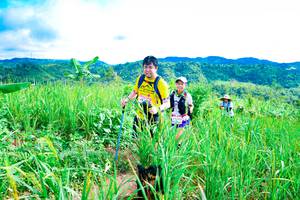 BIB: 
                            <button type="button" onclick="openModal(13222367)" class="btn btn-primary btn-sm float-right btn-popup" data-toggle="modal" data-target=".modal-high-quality">
                        <i class="fas fa-shopping-cart"></i> Add to Cart
                    </button>
                                            <button type="button" onclick="isThisMe(13222367, true)" class="btn btn-success btn-sm float-right btn-popup btn-isme hidden" data-toggle="tooltip" data-placement="bottom" title="นี่คือรูปของคุณใช่ไหม คลิกที่นี่เพื่อเอาเข้าอัลบั้ม">
                        <i class="fas fa-plus"></i> Add to album
                    </button>
                    <button type="button" onclick="isThisMe(13222367, false)" class="btn btn-warning btn-sm float-right btn-popup btn-isnotme hidden">
                        <i class="fas fa-ban"></i> Remove from album
                    </button>