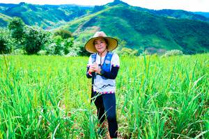 BIB: 
                            <button type="button" onclick="openModal(13222396)" class="btn btn-primary btn-sm float-right btn-popup" data-toggle="modal" data-target=".modal-high-quality">
                        <i class="fas fa-shopping-cart"></i> Add to Cart
                    </button>
                                            <button type="button" onclick="isThisMe(13222396, true)" class="btn btn-success btn-sm float-right btn-popup btn-isme hidden" data-toggle="tooltip" data-placement="bottom" title="นี่คือรูปของคุณใช่ไหม คลิกที่นี่เพื่อเอาเข้าอัลบั้ม">
                        <i class="fas fa-plus"></i> Add to album
                    </button>
                    <button type="button" onclick="isThisMe(13222396, false)" class="btn btn-warning btn-sm float-right btn-popup btn-isnotme hidden">
                        <i class="fas fa-ban"></i> Remove from album
                    </button>