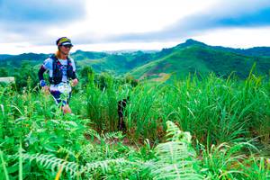 BIB: 
                            <button type="button" onclick="openModal(13220688)" class="btn btn-primary btn-sm float-right btn-popup" data-toggle="modal" data-target=".modal-high-quality">
                        <i class="fas fa-shopping-cart"></i> Add to Cart
                    </button>
                                            <button type="button" onclick="isThisMe(13220688, true)" class="btn btn-success btn-sm float-right btn-popup btn-isme hidden" data-toggle="tooltip" data-placement="bottom" title="นี่คือรูปของคุณใช่ไหม คลิกที่นี่เพื่อเอาเข้าอัลบั้ม">
                        <i class="fas fa-plus"></i> Add to album
                    </button>
                    <button type="button" onclick="isThisMe(13220688, false)" class="btn btn-warning btn-sm float-right btn-popup btn-isnotme hidden">
                        <i class="fas fa-ban"></i> Remove from album
                    </button>