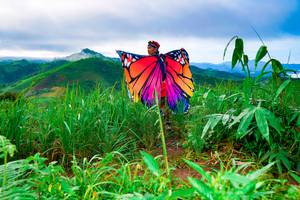 BIB: 
                            <button type="button" onclick="openModal(13220396)" class="btn btn-primary btn-sm float-right btn-popup" data-toggle="modal" data-target=".modal-high-quality">
                        <i class="fas fa-shopping-cart"></i> Add to Cart
                    </button>
                                            <button type="button" onclick="isThisMe(13220396, true)" class="btn btn-success btn-sm float-right btn-popup btn-isme hidden" data-toggle="tooltip" data-placement="bottom" title="นี่คือรูปของคุณใช่ไหม คลิกที่นี่เพื่อเอาเข้าอัลบั้ม">
                        <i class="fas fa-plus"></i> Add to album
                    </button>
                    <button type="button" onclick="isThisMe(13220396, false)" class="btn btn-warning btn-sm float-right btn-popup btn-isnotme hidden">
                        <i class="fas fa-ban"></i> Remove from album
                    </button>