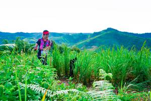 BIB: 
                            <button type="button" onclick="openModal(13221173)" class="btn btn-primary btn-sm float-right btn-popup" data-toggle="modal" data-target=".modal-high-quality">
                        <i class="fas fa-shopping-cart"></i> Add to Cart
                    </button>
                                            <button type="button" onclick="isThisMe(13221173, true)" class="btn btn-success btn-sm float-right btn-popup btn-isme hidden" data-toggle="tooltip" data-placement="bottom" title="นี่คือรูปของคุณใช่ไหม คลิกที่นี่เพื่อเอาเข้าอัลบั้ม">
                        <i class="fas fa-plus"></i> Add to album
                    </button>
                    <button type="button" onclick="isThisMe(13221173, false)" class="btn btn-warning btn-sm float-right btn-popup btn-isnotme hidden">
                        <i class="fas fa-ban"></i> Remove from album
                    </button>