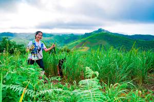 BIB: 
                            <button type="button" onclick="openModal(13220514)" class="btn btn-primary btn-sm float-right btn-popup" data-toggle="modal" data-target=".modal-high-quality">
                        <i class="fas fa-shopping-cart"></i> Add to Cart
                    </button>
                                            <button type="button" onclick="isThisMe(13220514, true)" class="btn btn-success btn-sm float-right btn-popup btn-isme hidden" data-toggle="tooltip" data-placement="bottom" title="นี่คือรูปของคุณใช่ไหม คลิกที่นี่เพื่อเอาเข้าอัลบั้ม">
                        <i class="fas fa-plus"></i> Add to album
                    </button>
                    <button type="button" onclick="isThisMe(13220514, false)" class="btn btn-warning btn-sm float-right btn-popup btn-isnotme hidden">
                        <i class="fas fa-ban"></i> Remove from album
                    </button>