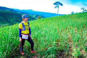 BIB: 2142
                            <button type="button" onclick="openModal(13222079)" class="btn btn-primary btn-sm float-right btn-popup" data-toggle="modal" data-target=".modal-high-quality">
                        <i class="fas fa-shopping-cart"></i> Add to Cart
                    </button>
                                            <button type="button" onclick="isThisMe(13222079, true)" class="btn btn-success btn-sm float-right btn-popup btn-isme hidden" data-toggle="tooltip" data-placement="bottom" title="นี่คือรูปของคุณใช่ไหม คลิกที่นี่เพื่อเอาเข้าอัลบั้ม">
                        <i class="fas fa-plus"></i> Add to album
                    </button>
                    <button type="button" onclick="isThisMe(13222079, false)" class="btn btn-warning btn-sm float-right btn-popup btn-isnotme hidden">
                        <i class="fas fa-ban"></i> Remove from album
                    </button>