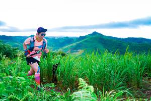 BIB: 
                            <button type="button" onclick="openModal(13220714)" class="btn btn-primary btn-sm float-right btn-popup" data-toggle="modal" data-target=".modal-high-quality">
                        <i class="fas fa-shopping-cart"></i> Add to Cart
                    </button>
                                            <button type="button" onclick="isThisMe(13220714, true)" class="btn btn-success btn-sm float-right btn-popup btn-isme hidden" data-toggle="tooltip" data-placement="bottom" title="นี่คือรูปของคุณใช่ไหม คลิกที่นี่เพื่อเอาเข้าอัลบั้ม">
                        <i class="fas fa-plus"></i> Add to album
                    </button>
                    <button type="button" onclick="isThisMe(13220714, false)" class="btn btn-warning btn-sm float-right btn-popup btn-isnotme hidden">
                        <i class="fas fa-ban"></i> Remove from album
                    </button>