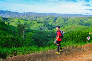 BIB: 
                            <button type="button" onclick="openModal(13341706)" class="btn btn-primary btn-sm float-right btn-popup" data-toggle="modal" data-target=".modal-high-quality">
                        <i class="fas fa-shopping-cart"></i> Add to Cart
                    </button>
                                            <button type="button" onclick="isThisMe(13341706, true)" class="btn btn-success btn-sm float-right btn-popup btn-isme hidden" data-toggle="tooltip" data-placement="bottom" title="นี่คือรูปของคุณใช่ไหม คลิกที่นี่เพื่อเอาเข้าอัลบั้ม">
                        <i class="fas fa-plus"></i> Add to album
                    </button>
                    <button type="button" onclick="isThisMe(13341706, false)" class="btn btn-warning btn-sm float-right btn-popup btn-isnotme hidden">
                        <i class="fas fa-ban"></i> Remove from album
                    </button>