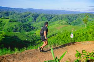 BIB: 
                            <button type="button" onclick="openModal(13341817)" class="btn btn-primary btn-sm float-right btn-popup" data-toggle="modal" data-target=".modal-high-quality">
                        <i class="fas fa-shopping-cart"></i> Add to Cart
                    </button>
                                            <button type="button" onclick="isThisMe(13341817, true)" class="btn btn-success btn-sm float-right btn-popup btn-isme hidden" data-toggle="tooltip" data-placement="bottom" title="นี่คือรูปของคุณใช่ไหม คลิกที่นี่เพื่อเอาเข้าอัลบั้ม">
                        <i class="fas fa-plus"></i> Add to album
                    </button>
                    <button type="button" onclick="isThisMe(13341817, false)" class="btn btn-warning btn-sm float-right btn-popup btn-isnotme hidden">
                        <i class="fas fa-ban"></i> Remove from album
                    </button>