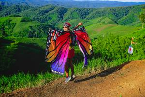 BIB: 
                            <button type="button" onclick="openModal(13341788)" class="btn btn-primary btn-sm float-right btn-popup" data-toggle="modal" data-target=".modal-high-quality">
                        <i class="fas fa-shopping-cart"></i> Add to Cart
                    </button>
                                            <button type="button" onclick="isThisMe(13341788, true)" class="btn btn-success btn-sm float-right btn-popup btn-isme hidden" data-toggle="tooltip" data-placement="bottom" title="นี่คือรูปของคุณใช่ไหม คลิกที่นี่เพื่อเอาเข้าอัลบั้ม">
                        <i class="fas fa-plus"></i> Add to album
                    </button>
                    <button type="button" onclick="isThisMe(13341788, false)" class="btn btn-warning btn-sm float-right btn-popup btn-isnotme hidden">
                        <i class="fas fa-ban"></i> Remove from album
                    </button>