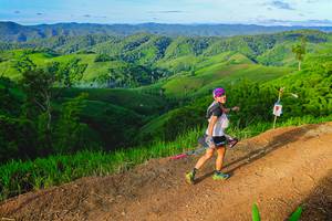 BIB: 
                            <button type="button" onclick="openModal(13341720)" class="btn btn-primary btn-sm float-right btn-popup" data-toggle="modal" data-target=".modal-high-quality">
                        <i class="fas fa-shopping-cart"></i> Add to Cart
                    </button>
                                            <button type="button" onclick="isThisMe(13341720, true)" class="btn btn-success btn-sm float-right btn-popup btn-isme hidden" data-toggle="tooltip" data-placement="bottom" title="นี่คือรูปของคุณใช่ไหม คลิกที่นี่เพื่อเอาเข้าอัลบั้ม">
                        <i class="fas fa-plus"></i> Add to album
                    </button>
                    <button type="button" onclick="isThisMe(13341720, false)" class="btn btn-warning btn-sm float-right btn-popup btn-isnotme hidden">
                        <i class="fas fa-ban"></i> Remove from album
                    </button>