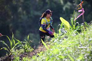 BIB: 
                            <button type="button" onclick="openModal(13210480)" class="btn btn-primary btn-sm float-right btn-popup" data-toggle="modal" data-target=".modal-high-quality">
                        <i class="fas fa-shopping-cart"></i> Add to Cart
                    </button>
                                            <button type="button" onclick="isThisMe(13210480, true)" class="btn btn-success btn-sm float-right btn-popup btn-isme hidden" data-toggle="tooltip" data-placement="bottom" title="นี่คือรูปของคุณใช่ไหม คลิกที่นี่เพื่อเอาเข้าอัลบั้ม">
                        <i class="fas fa-plus"></i> Add to album
                    </button>
                    <button type="button" onclick="isThisMe(13210480, false)" class="btn btn-warning btn-sm float-right btn-popup btn-isnotme hidden">
                        <i class="fas fa-ban"></i> Remove from album
                    </button>