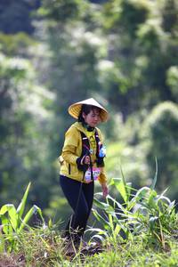 BIB: 
                            <button type="button" onclick="openModal(13210960)" class="btn btn-primary btn-sm float-right btn-popup" data-toggle="modal" data-target=".modal-high-quality">
                        <i class="fas fa-shopping-cart"></i> Add to Cart
                    </button>
                                            <button type="button" onclick="isThisMe(13210960, true)" class="btn btn-success btn-sm float-right btn-popup btn-isme hidden" data-toggle="tooltip" data-placement="bottom" title="นี่คือรูปของคุณใช่ไหม คลิกที่นี่เพื่อเอาเข้าอัลบั้ม">
                        <i class="fas fa-plus"></i> Add to album
                    </button>
                    <button type="button" onclick="isThisMe(13210960, false)" class="btn btn-warning btn-sm float-right btn-popup btn-isnotme hidden">
                        <i class="fas fa-ban"></i> Remove from album
                    </button>