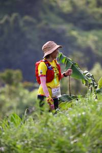 BIB: 
                            <button type="button" onclick="openModal(13209779)" class="btn btn-primary btn-sm float-right btn-popup" data-toggle="modal" data-target=".modal-high-quality">
                        <i class="fas fa-shopping-cart"></i> Add to Cart
                    </button>
                                            <button type="button" onclick="isThisMe(13209779, true)" class="btn btn-success btn-sm float-right btn-popup btn-isme hidden" data-toggle="tooltip" data-placement="bottom" title="นี่คือรูปของคุณใช่ไหม คลิกที่นี่เพื่อเอาเข้าอัลบั้ม">
                        <i class="fas fa-plus"></i> Add to album
                    </button>
                    <button type="button" onclick="isThisMe(13209779, false)" class="btn btn-warning btn-sm float-right btn-popup btn-isnotme hidden">
                        <i class="fas fa-ban"></i> Remove from album
                    </button>