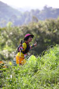 BIB: 
                            <button type="button" onclick="openModal(13210933)" class="btn btn-primary btn-sm float-right btn-popup" data-toggle="modal" data-target=".modal-high-quality">
                        <i class="fas fa-shopping-cart"></i> Add to Cart
                    </button>
                                            <button type="button" onclick="isThisMe(13210933, true)" class="btn btn-success btn-sm float-right btn-popup btn-isme hidden" data-toggle="tooltip" data-placement="bottom" title="นี่คือรูปของคุณใช่ไหม คลิกที่นี่เพื่อเอาเข้าอัลบั้ม">
                        <i class="fas fa-plus"></i> Add to album
                    </button>
                    <button type="button" onclick="isThisMe(13210933, false)" class="btn btn-warning btn-sm float-right btn-popup btn-isnotme hidden">
                        <i class="fas fa-ban"></i> Remove from album
                    </button>